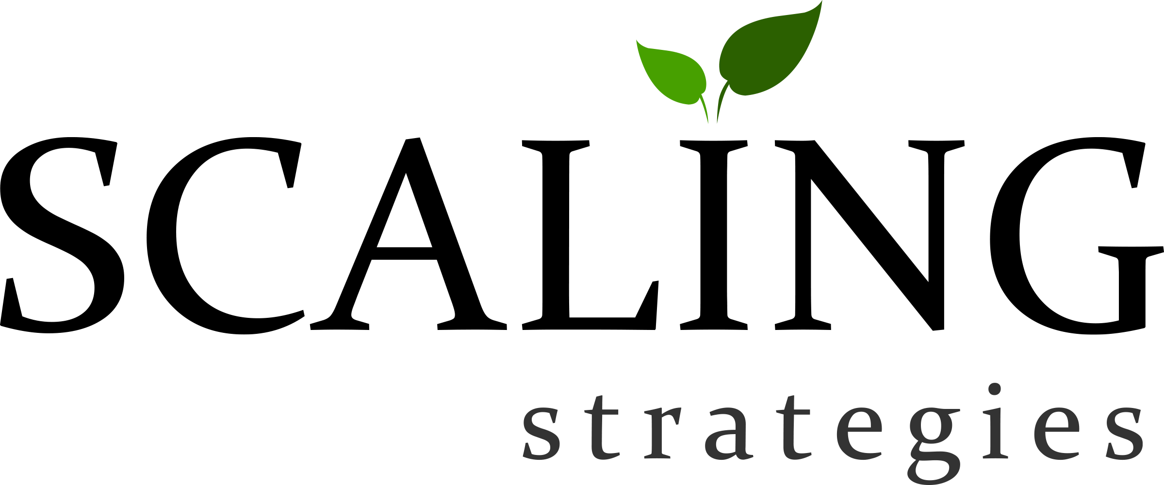 Scaling Strategies Logo